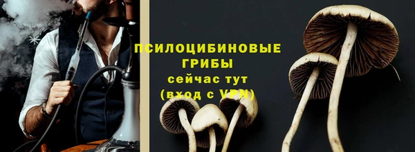 индика Навашино