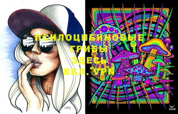 индика Навашино