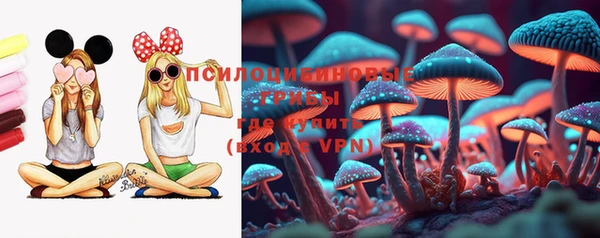 индика Навашино